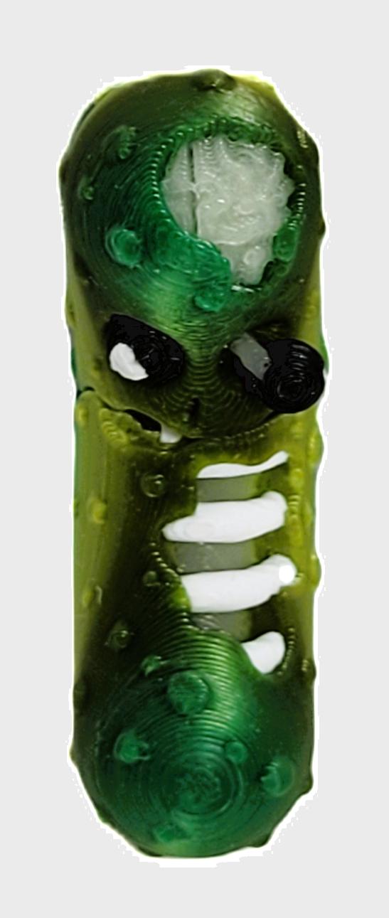 Tickle Pickle Fidget Toy